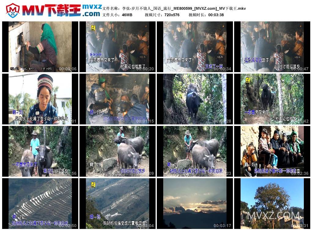 李弦-岁月不饶人_国语_流行_ME800599